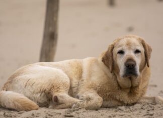 Jak odpoczywać po pracy siedzącej?