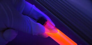 Jakie formy oddziaływań na odbiorcę są wykorzystywane w edukacji zdrowotnej? Jakie formy oddziaływań na odbiorcę są wykorzystywane w edukacji zdrowotnej?