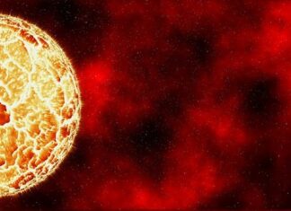 Dlaczego z rany sączy się osocze?