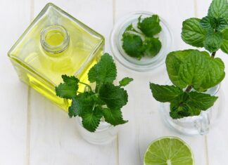 Co jest lepsze balsam czy masło?