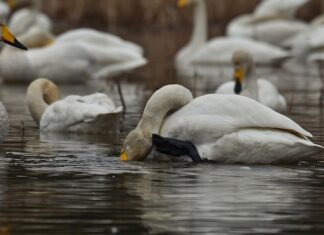 Dlaczego po umyciu swędzi mnie skóra?