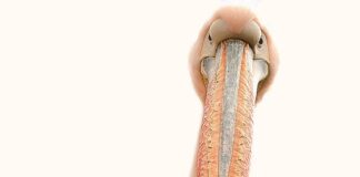 Ile można zarobić na paznokciach w domu?