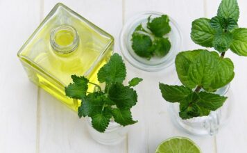 Co lepsze balsam czy oliwka? Co lepsze balsam czy oliwka?