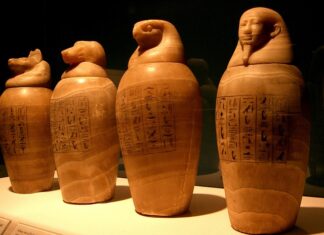 Co daje codzienne smarowanie balsamem?