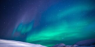 Ile miodu dziennie na przeziębienie?