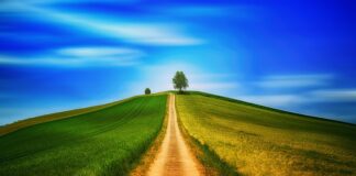 Co zamiast kul do chodzenia?