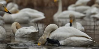 Co zrobić jak wszystko mnie swędzi?