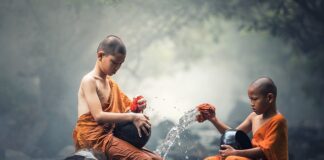 Co zjem to mnie czyści? Co zjem to mnie czyści?