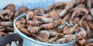 Czy można stawiać bańki przy nowotworach?