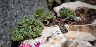 Dlaczego po jednym dniu mam tłuste włosy?