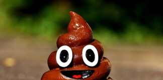 Dlaczego kał unosi się na wodzie?