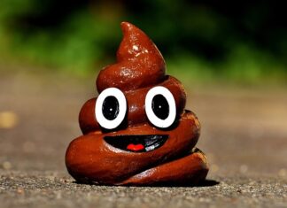 Dlaczego kał unosi się na wodzie?