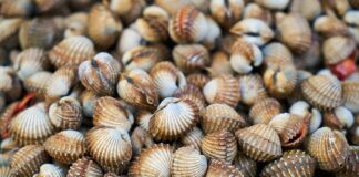 Czego nie wolno jeść w łuszczycy?