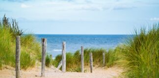 Jaki zabieg na cienkie włosy?