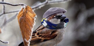 Jak tanio ogrzać mieszkanie prądem?