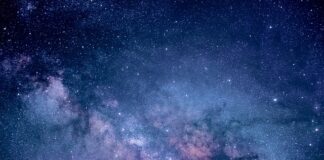 Ile kosztuje badanie wszystkich witamin?