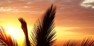 Jak wyleczyć stan zapalny mięśni?