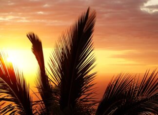 Jak wyleczyć stan zapalny mięśni?