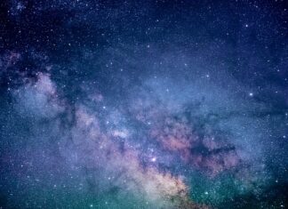 Ile kosztuje badanie krwi na wszystko? Ile kosztuje badanie krwi na wszystko?