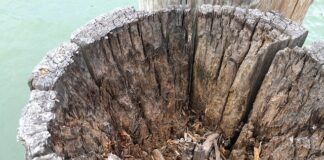 Po co smakowy lubrykant? Po co smakowy lubrykant?