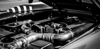 Czy lampa UV zabija dobre bakterie? Czy lampa UV zabija dobre bakterie?