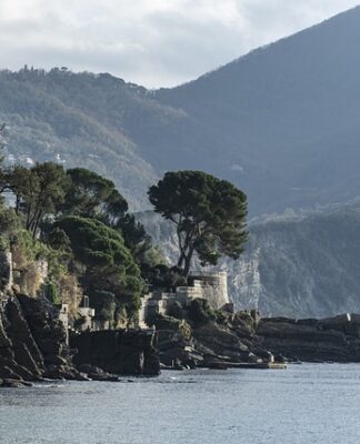 Ile kosztuje kule ortopedyczne?