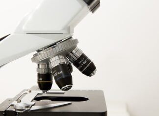 Dlaczego morfologia musi być na czczo?