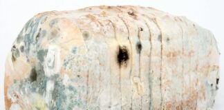 Jak dezynfekować pomieszczenia?