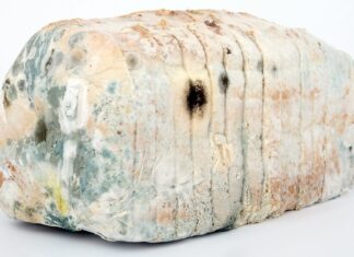 Jak dezynfekować pomieszczenia?