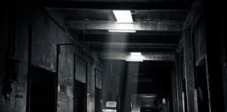 Jakie zabiegi u fryzjera na zniszczone włosy?