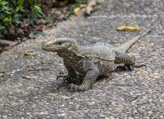 Ile jest ważne skierowanie do laboratorium na badanie krwi? Ile jest ważne skierowanie do laboratorium na badanie krwi?