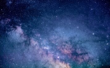 Czego nie jeść dzień przed badaniem krwi?