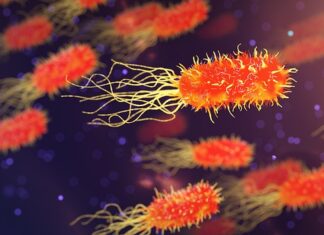 Jak zbadać cały organizm?