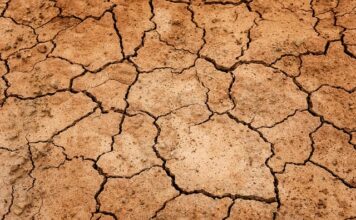 Co można stosować na suchość pochwy?