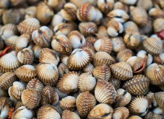 Jakie zioła pić na łuszczycę?