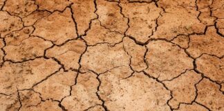 Jaki żel na suchość pochwy?