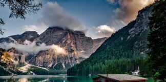 Co promieniuje w domu?