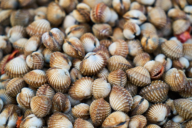 Jak goi się łuszczyca? Jak goi się łuszczyca?